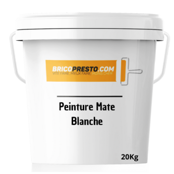 PEINTURE MATE BLANCHE